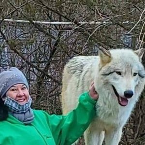 Meet your Posher, Pam